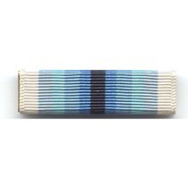 Coast Guard Arctic Service Medal