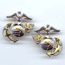 A. Gold and Silver Officer Collar Device