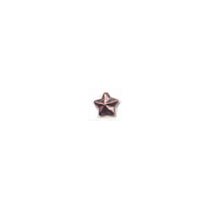 Bronze Star Small - 1