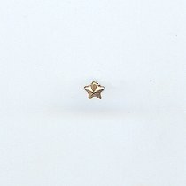 Gold Star Small - 1