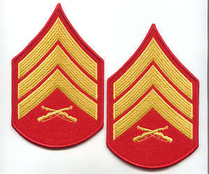 D Sergeant (Sgt) Dress Blues Chevrons