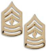 H. 1ST SGT GOLD SATIN/MATT FINISH CHEVRONS - PAIR