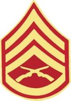 E. SSGT (STAFF SERGEANT) RANK PIN