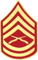 F. GYSGT (GUNNERY SERGEANT) RANK PIN