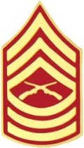 G. MSGT (MASTER GUNNERY SERGEANT) RANK PIN