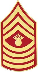 I. MGYSGT (MASTER GUNNERY SERGEANT) RANK PIN