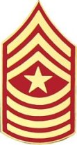 J. SGTMAJ (SERGEANT MAJOR) RANK PIN