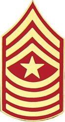 J. SGTMAJ (SERGEANT MAJOR) RANK PIN