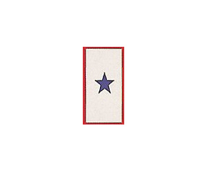 1 Star Service Pin