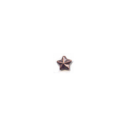 Bronze Star Small - 1